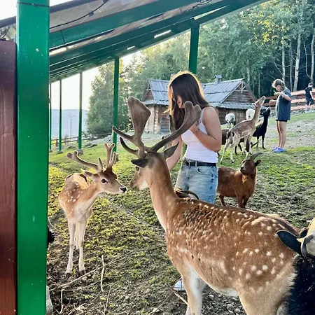Ovis Homes I Gorąca Balia - Widok Na Góry - 8 Osób - Komfortowy Domek alpejski *